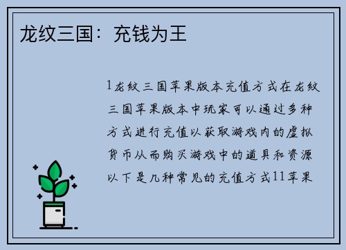 龙纹三国：充钱为王